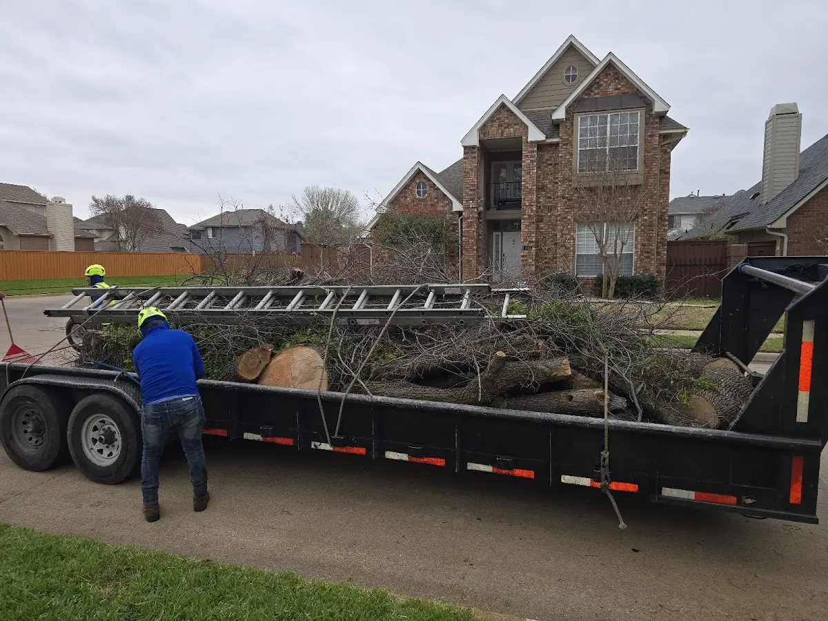 Expert Lot Clearing with proper safety equipment in Woolford